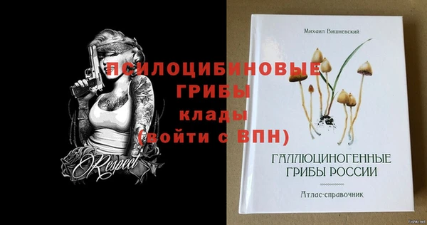 мяу мяу мука Беломорск