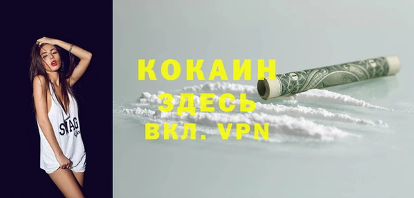 spice Богданович