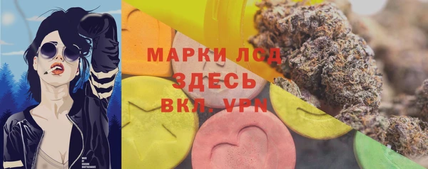мяу мяу мука Беломорск