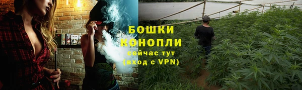 амф Белокуриха